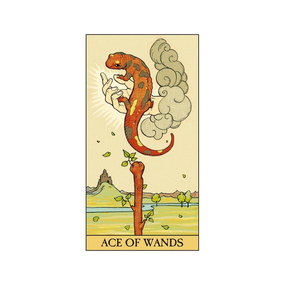 After Tarot - Tarot Webshop